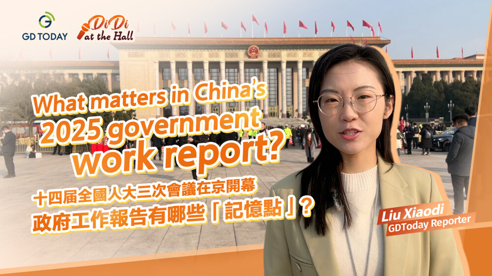 What matters in China's 2025 government work report?