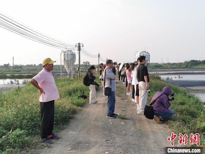 10月30日，广州南沙渔业产业园。张璐 摄