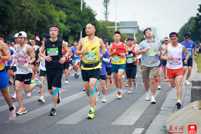 2025肇庆马拉松开跑,选手跑过1公里。摄影:曹雅琴