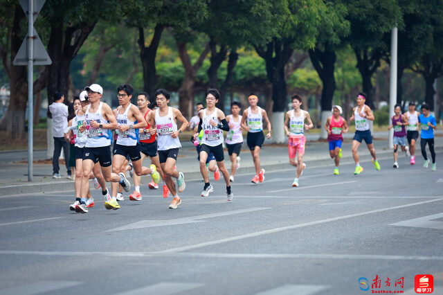 2025肇庆马拉松开跑,选手跑过1公里。摄影:曹雅琴