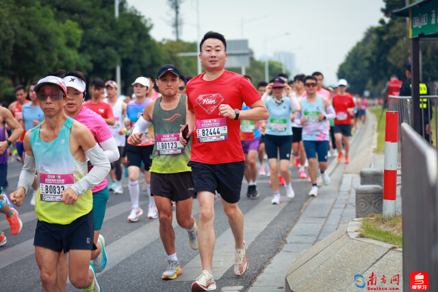 2025肇庆马拉松开跑,选手跑过1公里。摄影:曹雅琴