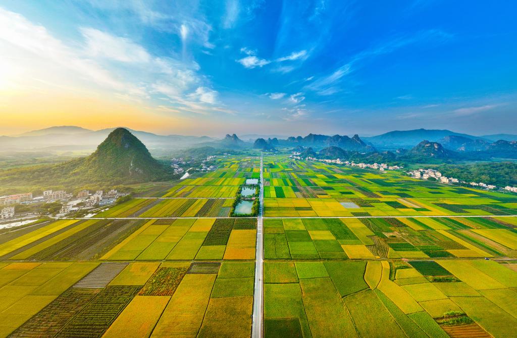 图为广东阳江阳春市马水镇马兰村的“马兰秋色”。（受访者供图）