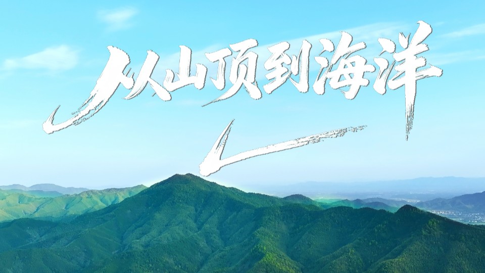 绿美广东收官礼：山海间的生态答卷