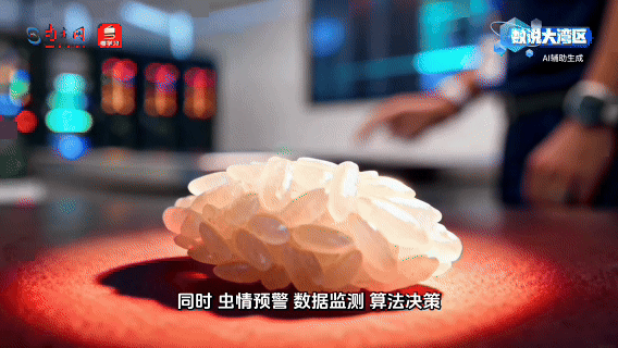 从70万吨“大粮库”看见湾区粮食安全底气 从70万吨“大粮库”看见湾区粮食安全底气