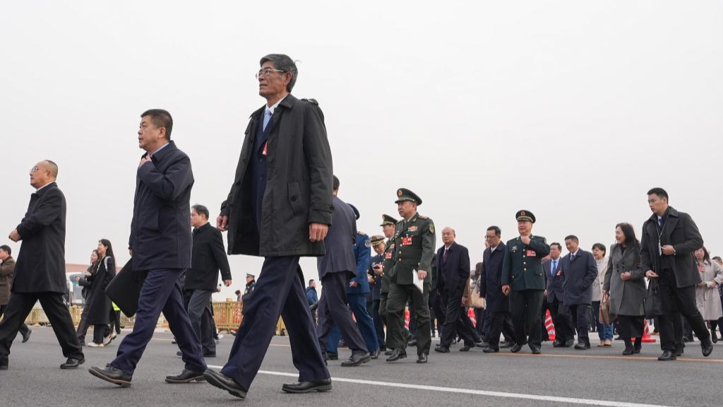 2nd plenary meeting of 3rd session of 14th CPPCC National Committee held in Beijing