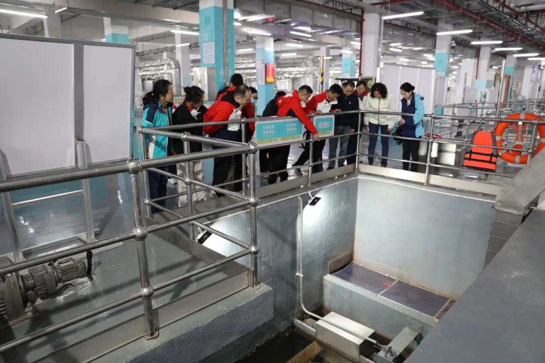 这场“沉浸式”主题党日活动，走“新”又走心！