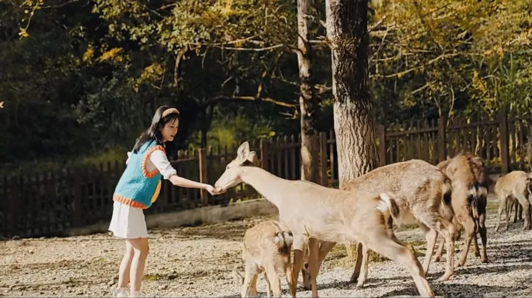 Celebrate Int'l Women's Day in Guangdong: Enjoy nature's beauties