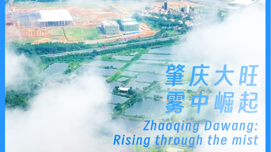 Zhaoqing Dawang: Rising through the mist