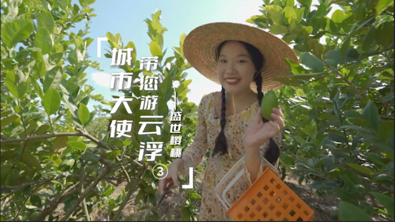 《城市大使带您游云浮》第三集！邀您共赏云安乡村好风光