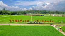 广东省政协常委邓毛颖:“百千万工程”提速,全域土地综合整治改革是关键 广东省政协常委邓毛颖:“百千万工程”提速,全域土地综合整治改革是关键