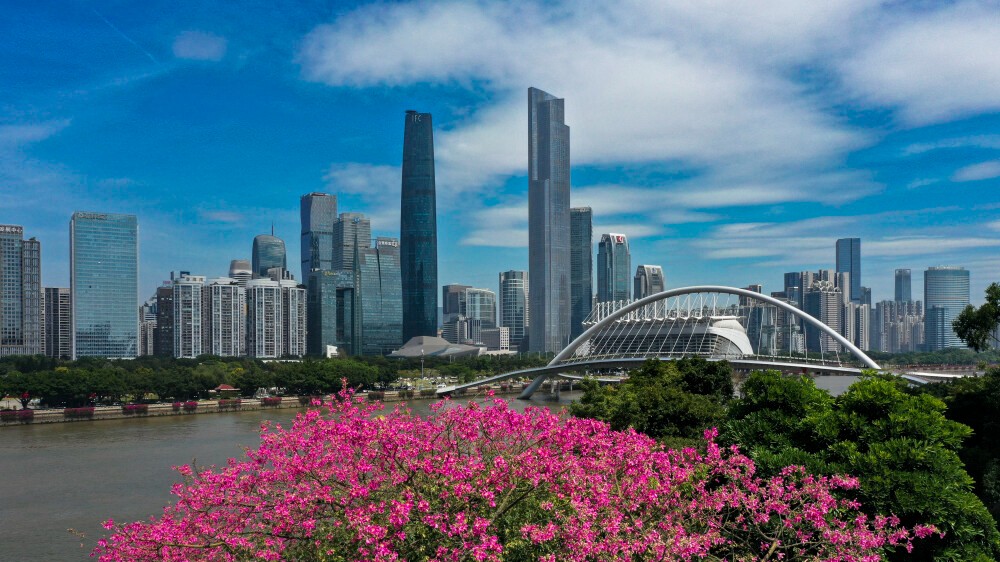 Guangdong starts provincial "Two Sessions" time