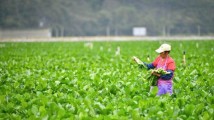 民主监督的新“五年计划”,广东政协聚焦这一话题 民主监督的新“五年计划”,广东政协聚焦这一话题