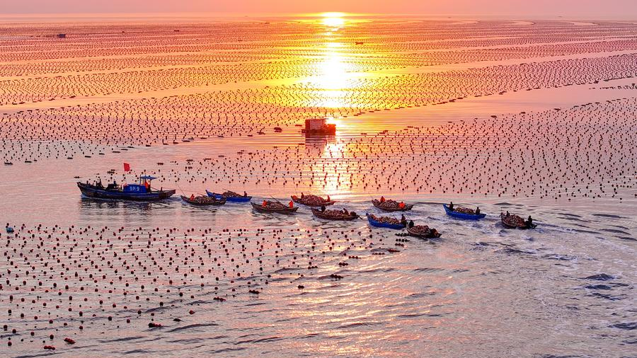 China expands marine ranching to boost food security