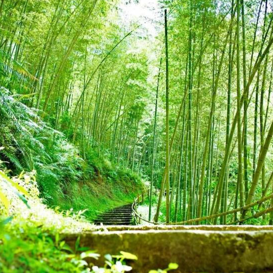 Top 6 cool places to beat summer heat in Guangdong