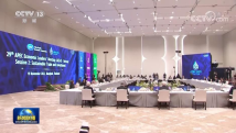 习近平继续出席亚太经合组织第二十九次领导人非正式会议 习近平继续出席亚太经合组织第二十九次领导人非正式会议