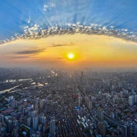 Nine Guangdong manufacturing enterprises enter Fortune Global 500 list