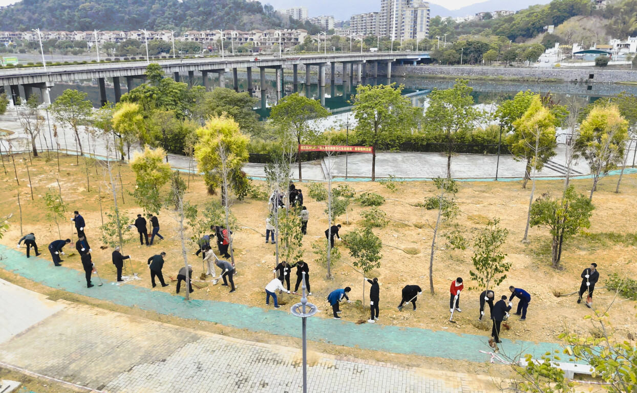今年，广东试图进行20,000个自愿种植活动