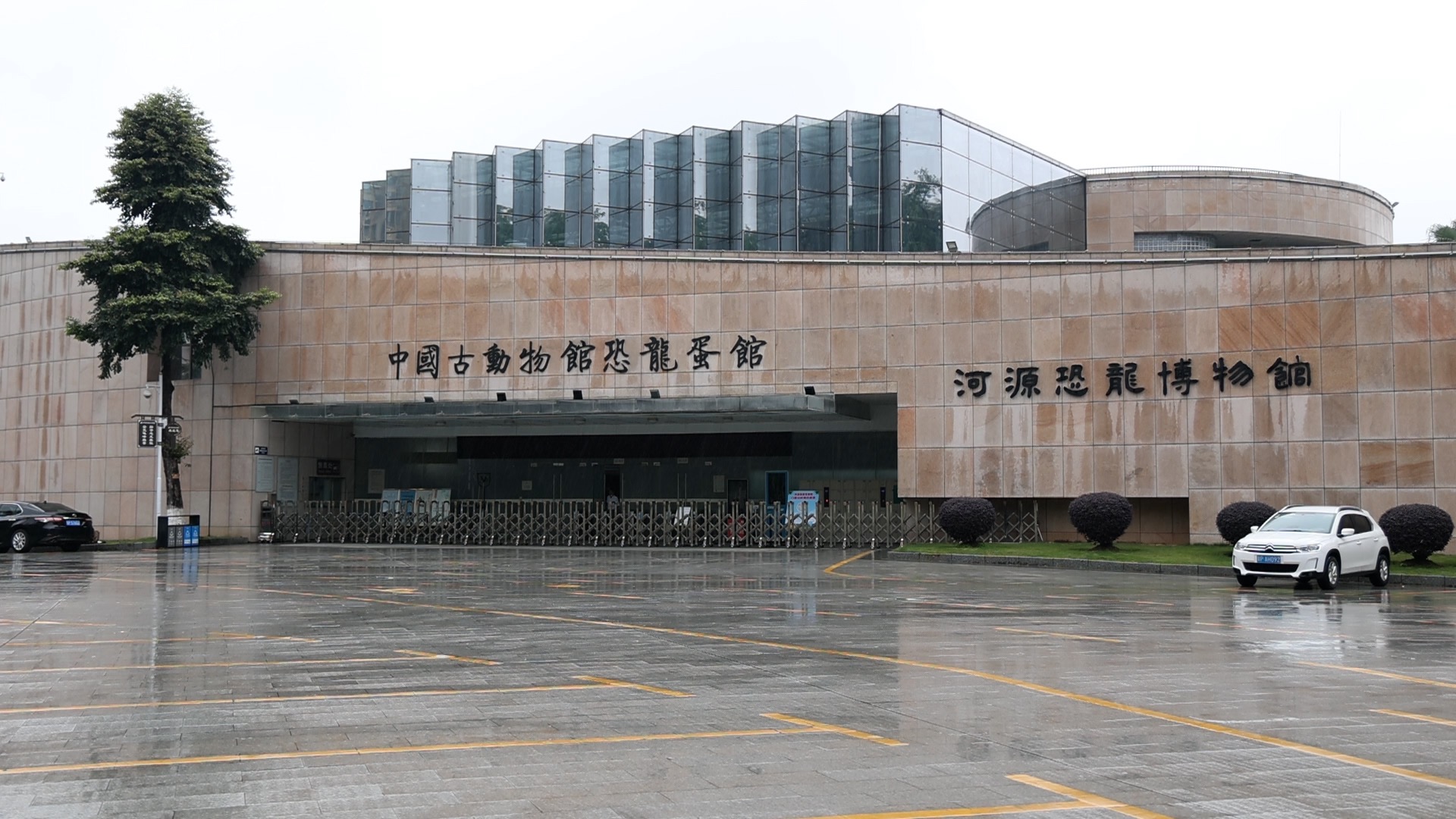 "518"去哪玩？探秘河源恐龙博物馆，水晶恐龙蛋你见过吗