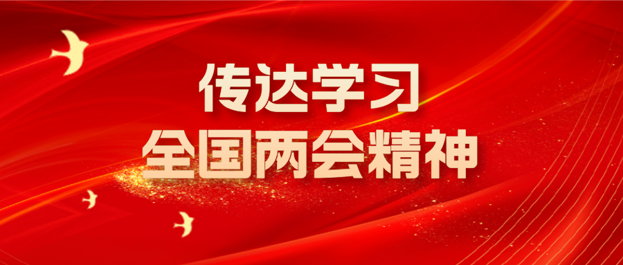 省财政厅召开党组（扩大）会议传达学习全国两会精神