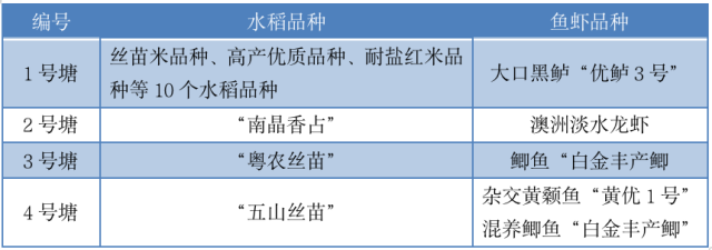 0  南方农村报 谭家富 拍摄