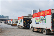 农贸批发市场也有数字化销售，西部小县城对接全国大市场