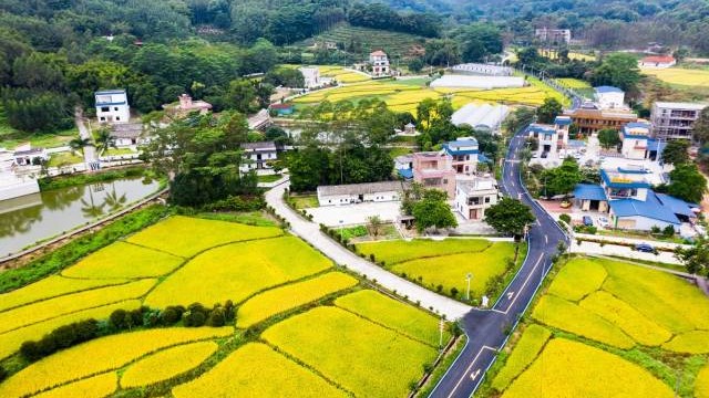 产业风正劲，广东百县千镇万村涌动高质量发展新活力
