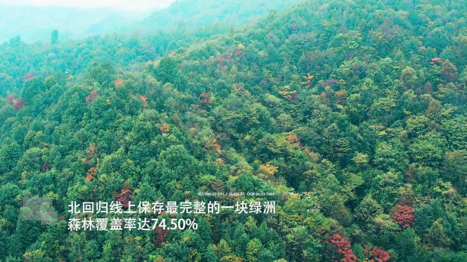 【韶关】韶关有“数”，以绿水青山创造绿色算力