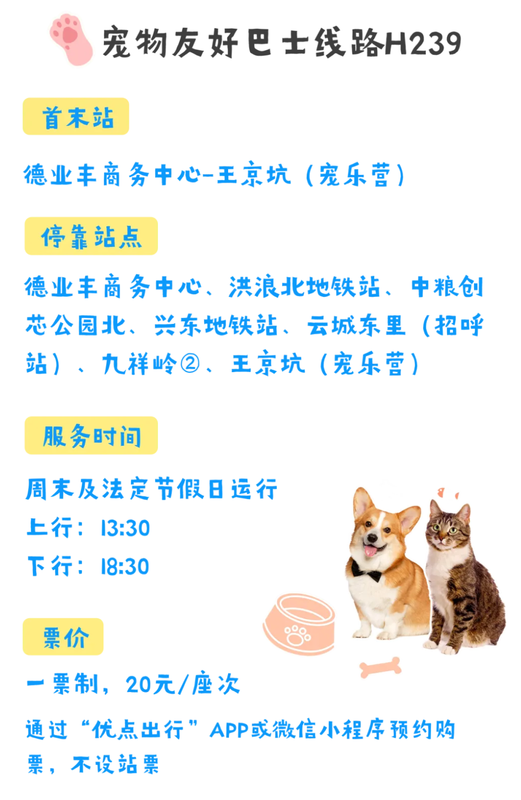 宠物友好巴士来啦！深圳首条宠物定制巴士开通，首周有优惠