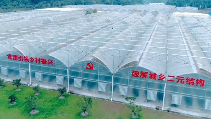 《2024年粤港澳国家安全宣讲展演》宣传片