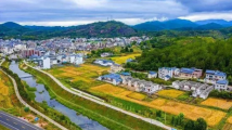 广东部署全面推进乡村振兴重点工作 提出这些新举措 广东部署全面推进乡村振兴重点工作 提出这些新举措
