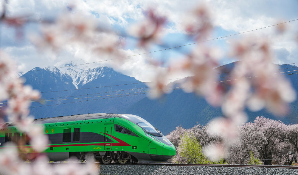 2025年4月2日，復(fù)興號(hào)列車穿行在拉林鐵路林芝段。“車在花中跑，人在畫(huà)中游”——西藏首條電氣化鐵路拉林鐵路，已成為雪域高原的文旅“新動(dòng)脈”，帶動(dòng)越來(lái)越多散客開(kāi)啟隨心自由行。