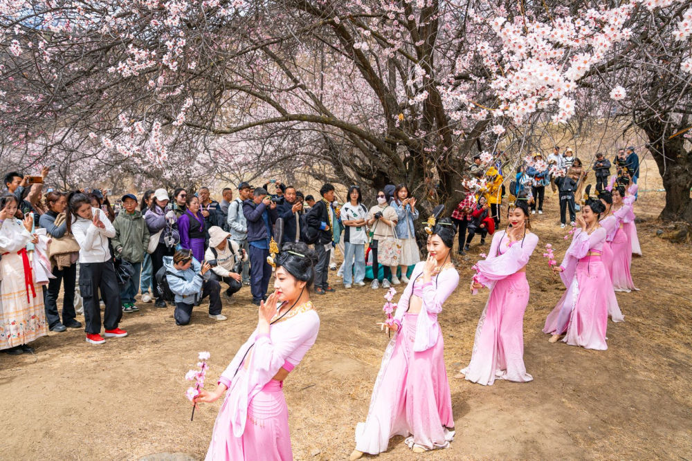 2024年3月31日，第二十一屆桃花旅游文化節(jié)開(kāi)幕，游客在嘎拉村觀看舞蹈表演。依托村里的桃花園，嘎拉村發(fā)展起生態(tài)旅游、民宿經(jīng)濟(jì)，村集體經(jīng)濟(jì)發(fā)展壯大，2024年平均每戶分紅10多萬(wàn)元。