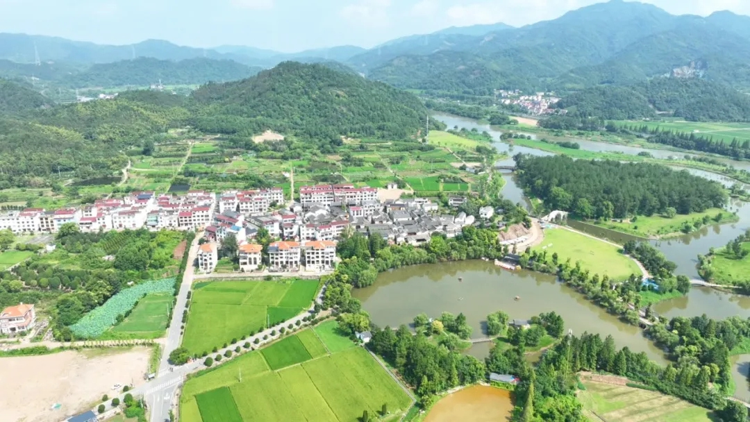 武義壇頭村全景。武義縣委報道組供圖