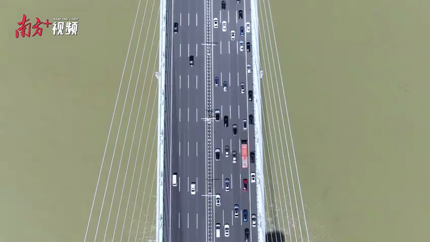 365天，深中通道改变“湾区之心”