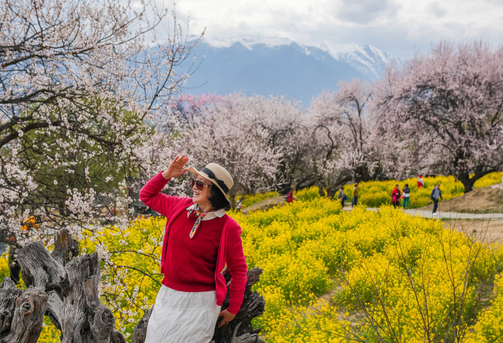 2025年4月2日，游客在嘎拉村拍照留念。今年4月，林芝迎來(lái)第二十二屆桃花旅游文化節(jié)。綿延百里的野生桃林沿尼洋河、雅魯藏布江次第綻放，粉霞如海，與巍峨雪山相映成趣，吸引各地游客共赴這場(chǎng)“雪山映襯下的桃花盛宴”。