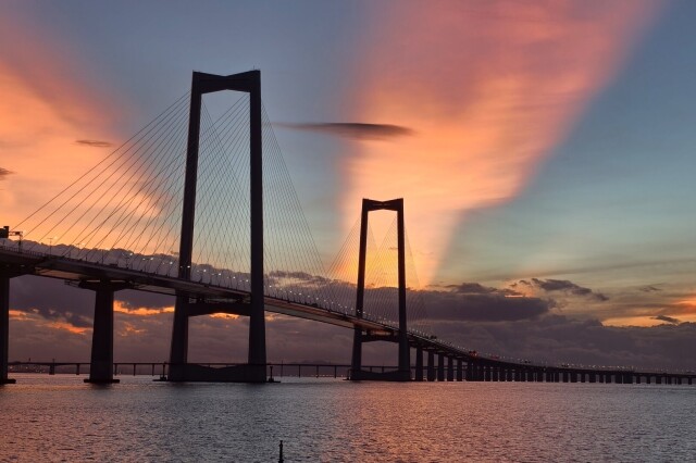 One-year opening of Shenzhen-Zhongshan Link: Over 31.5 mln vehicle trips