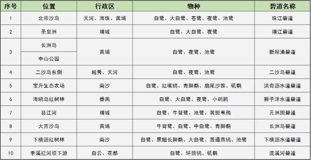 這個冬季來廣州觀鳥吧！10個碧道沿線觀鳥點(diǎn)公布