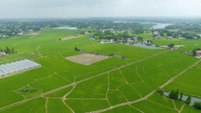 农业农村部紧急部署今年第7号台风“木兰”防御工作