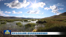 筑牢生态安全屏障 谱写高质量发展青海篇章 筑牢生态安全屏障 谱写高质量发展青海篇章