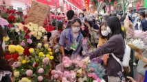 文化进万家|传统花市回归!广州11区公布2023年迎春花市安排 文化进万家|传统花市回归!广州11区公布2023年迎春花市安排