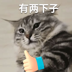 粤省事_20231110_100512.gif