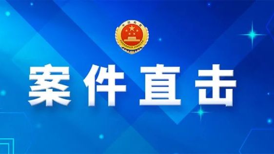 倒卖个人信息，既领刑又赔偿