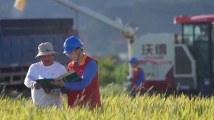 免报装、快用电 我国将进一步推进办电服务便捷化 免报装、快用电 我国将进一步推进办电服务便捷化