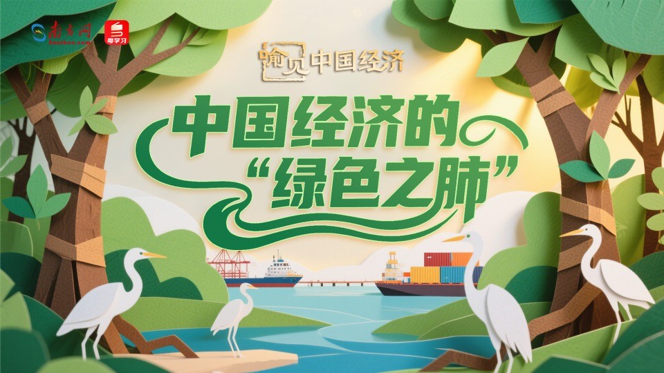 中国经济的“绿色之肺”｜喻见中国经济
