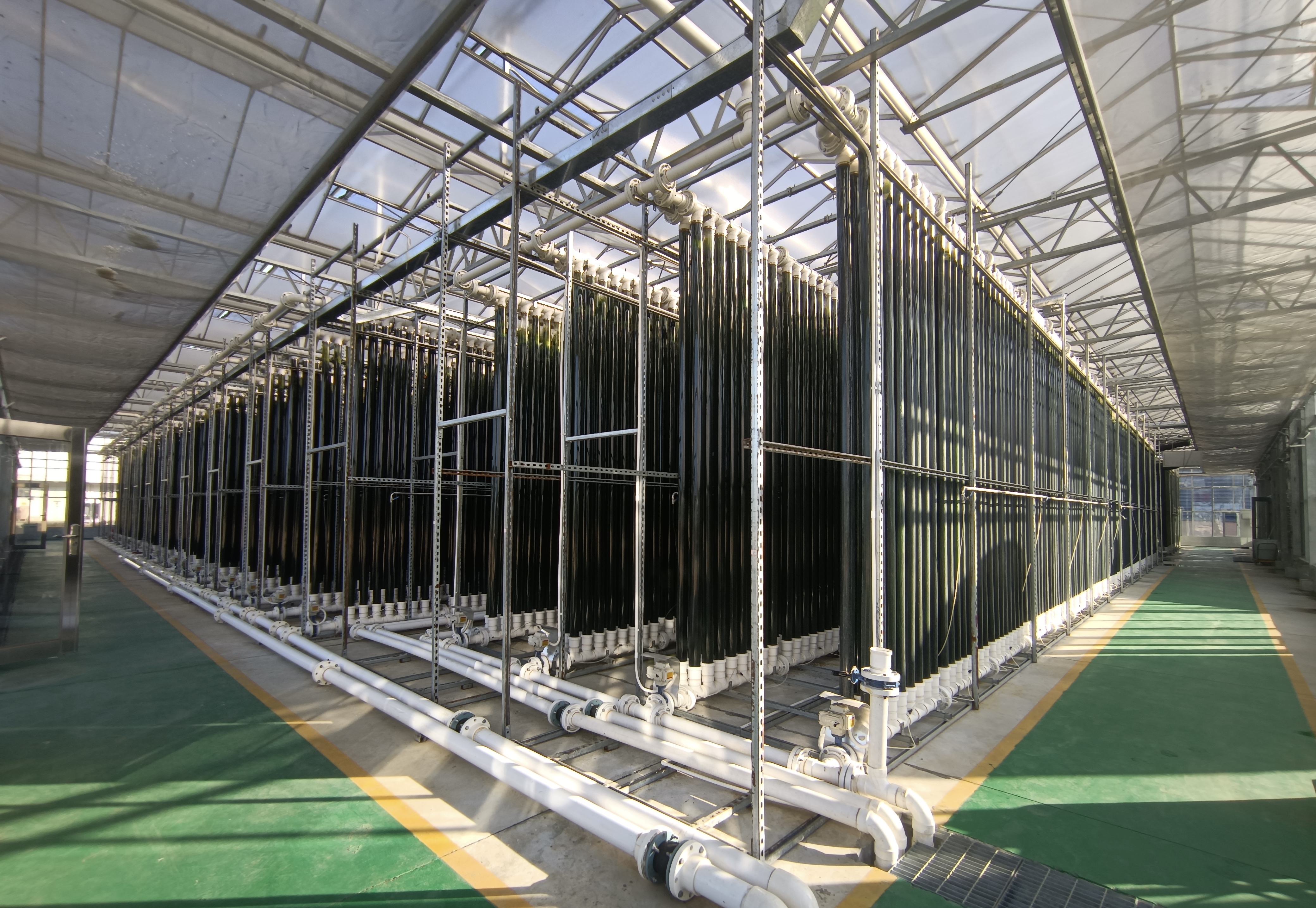 国内首个生物质电厂原始烟气微藻固碳示范工程项目现场。图源：广东能源集团提供
