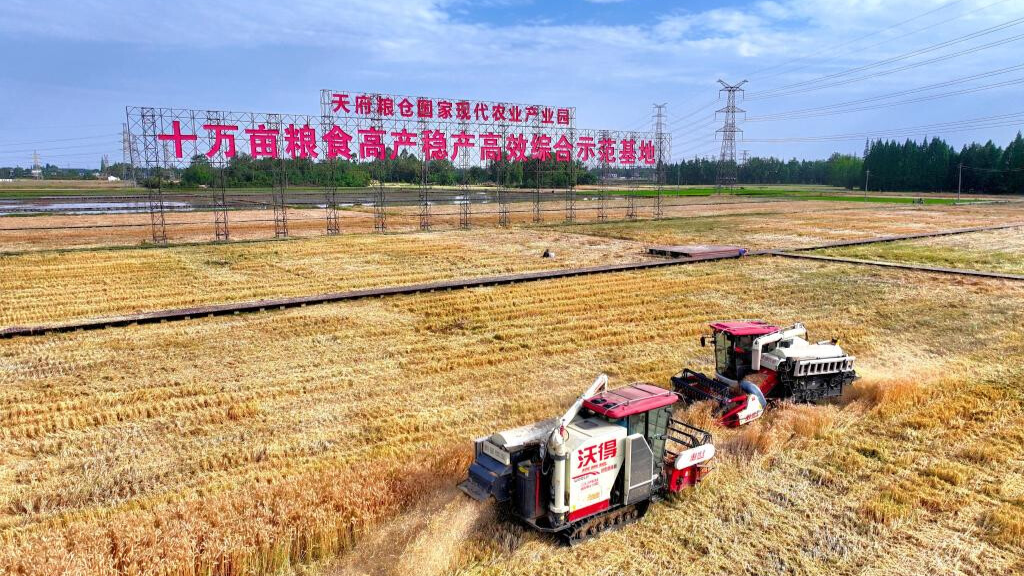 Across China: AI vs human farmers: China's smart agriculture competition enters round 2