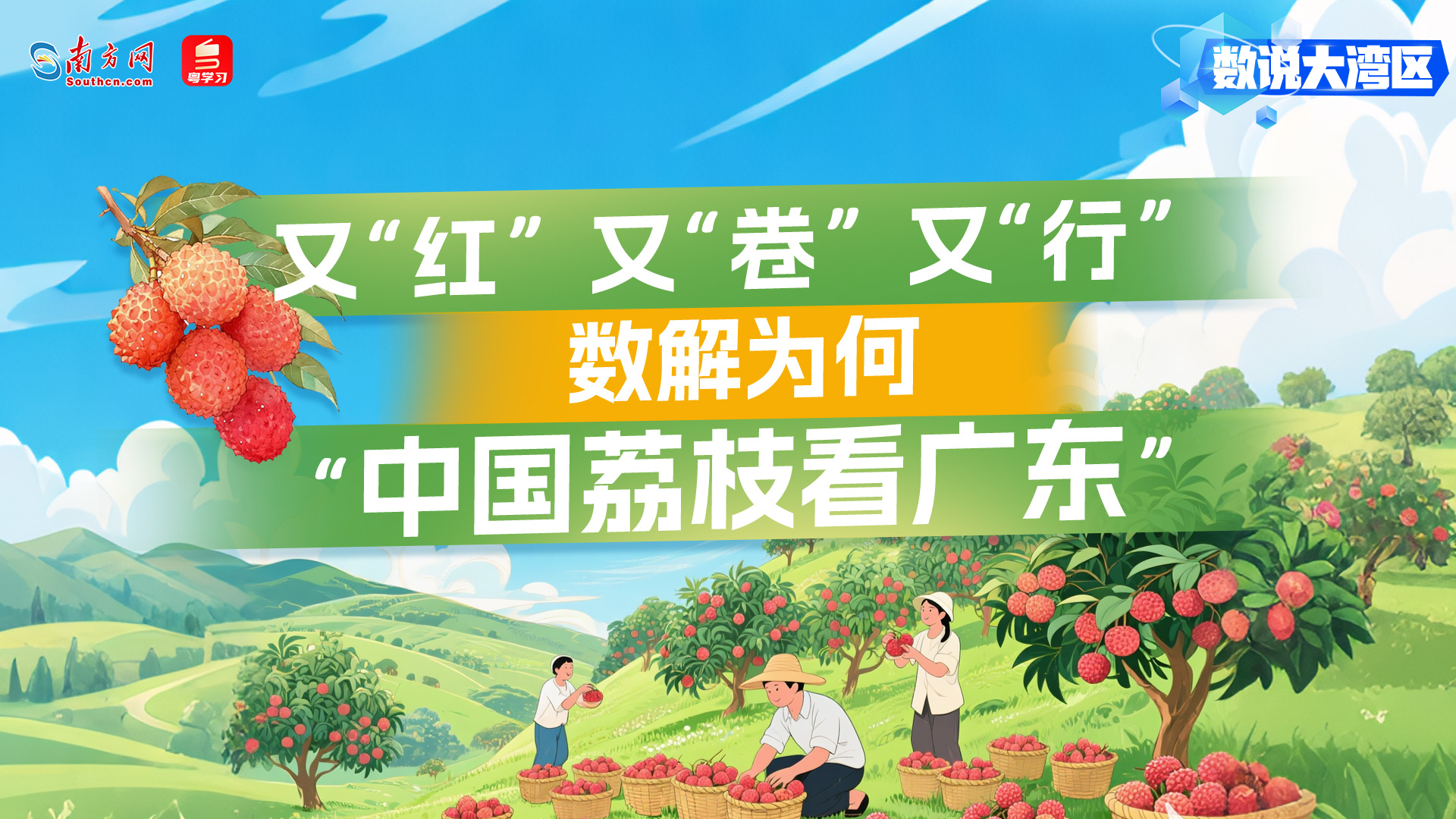 又“红”又“卷”又“行”！数解为何“中国荔枝看广东”