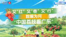 又“红”又“卷”又“行”!数解为何“中国荔枝看广东” 又“红”又“卷”又“行”!数解为何“中国荔枝看广东”