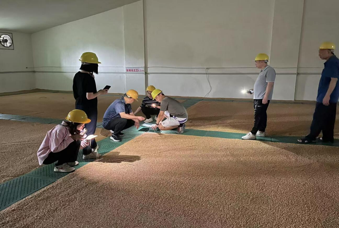 新兴县开展2025年粮食和物资储备系统春季粮油普查工作