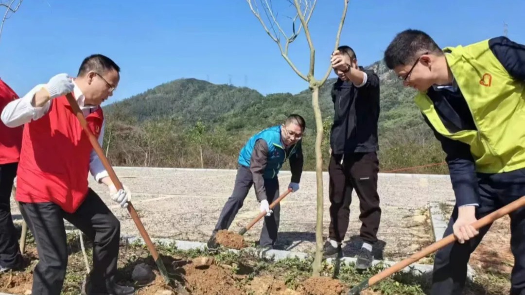 中山市委网信办开展植树节主题党日活动